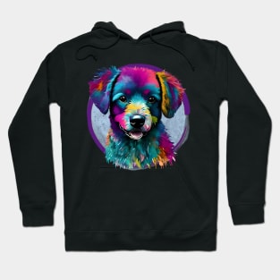 Colourful Bichon Frise Hoodie